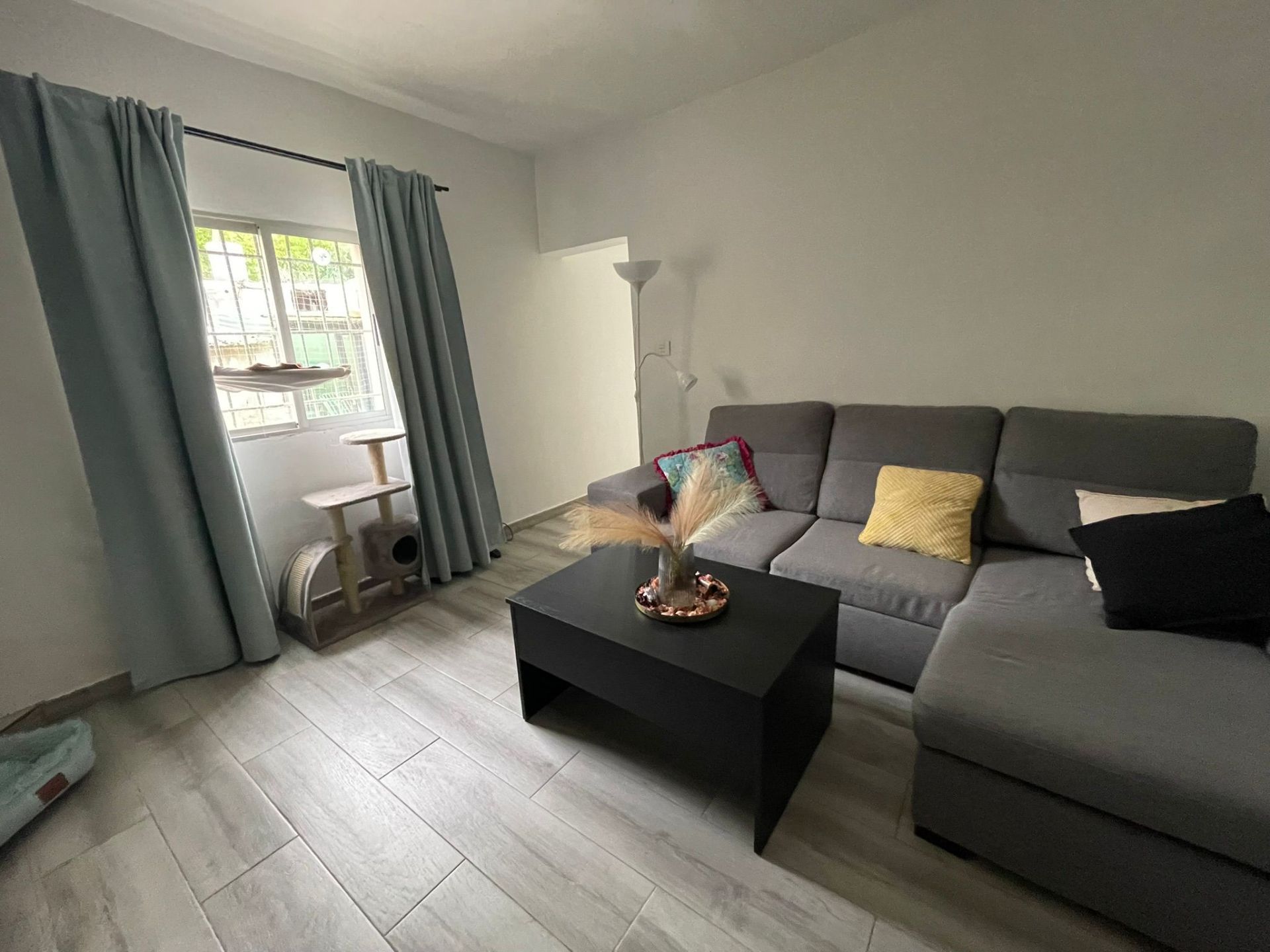 Living room of House or chalet for sale in Tacoronte  with Private garden