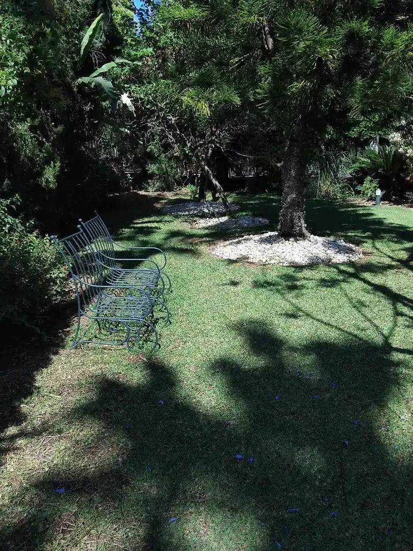 Garden of Houses for rent in Nueva Andalucía