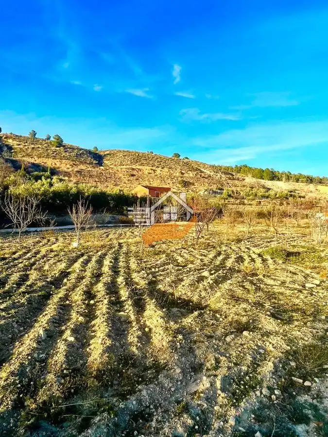 Residential land for sale in Vélez-Rubio, imagen 6