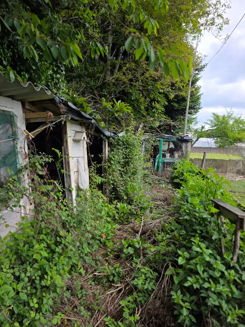 Jardí de Casa o xalet en venda en Vilalba amb Moblat