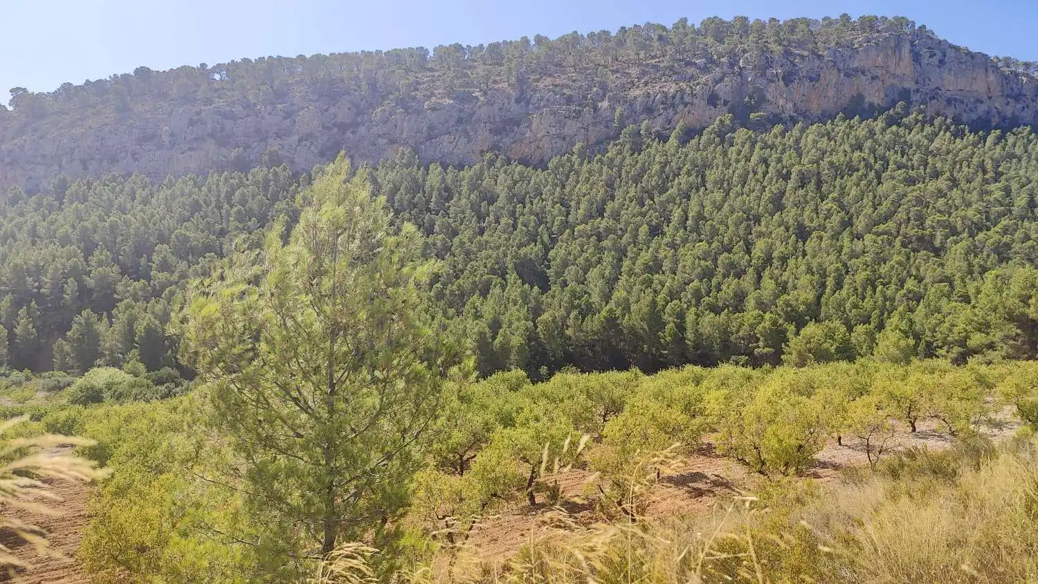 Casa rústica en venda a Mula, imagen 11
