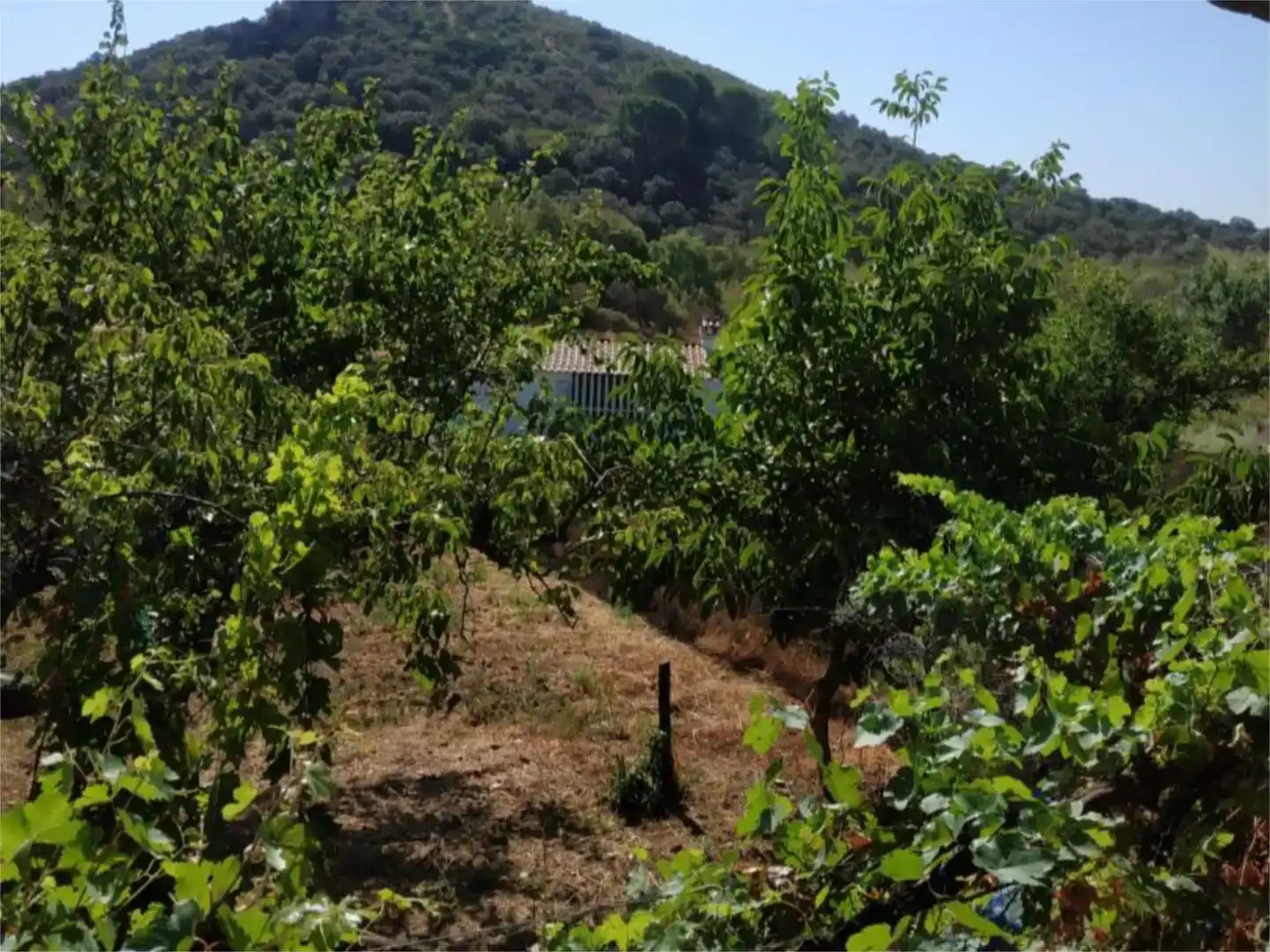 Land for sale in Garbayuela, Badajoz
