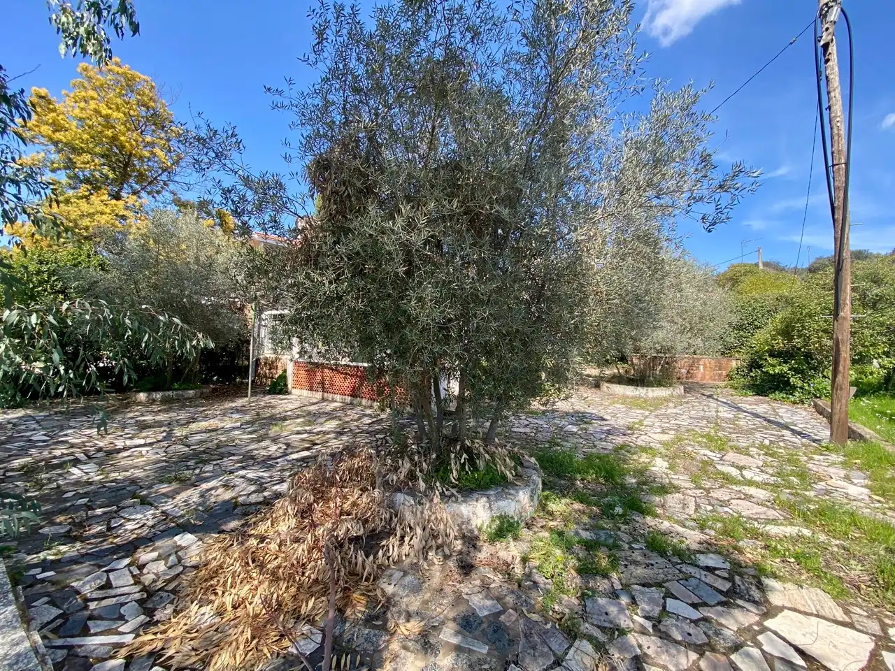 Villa con piscina in vendita a Avenida Yedra, imagen 41