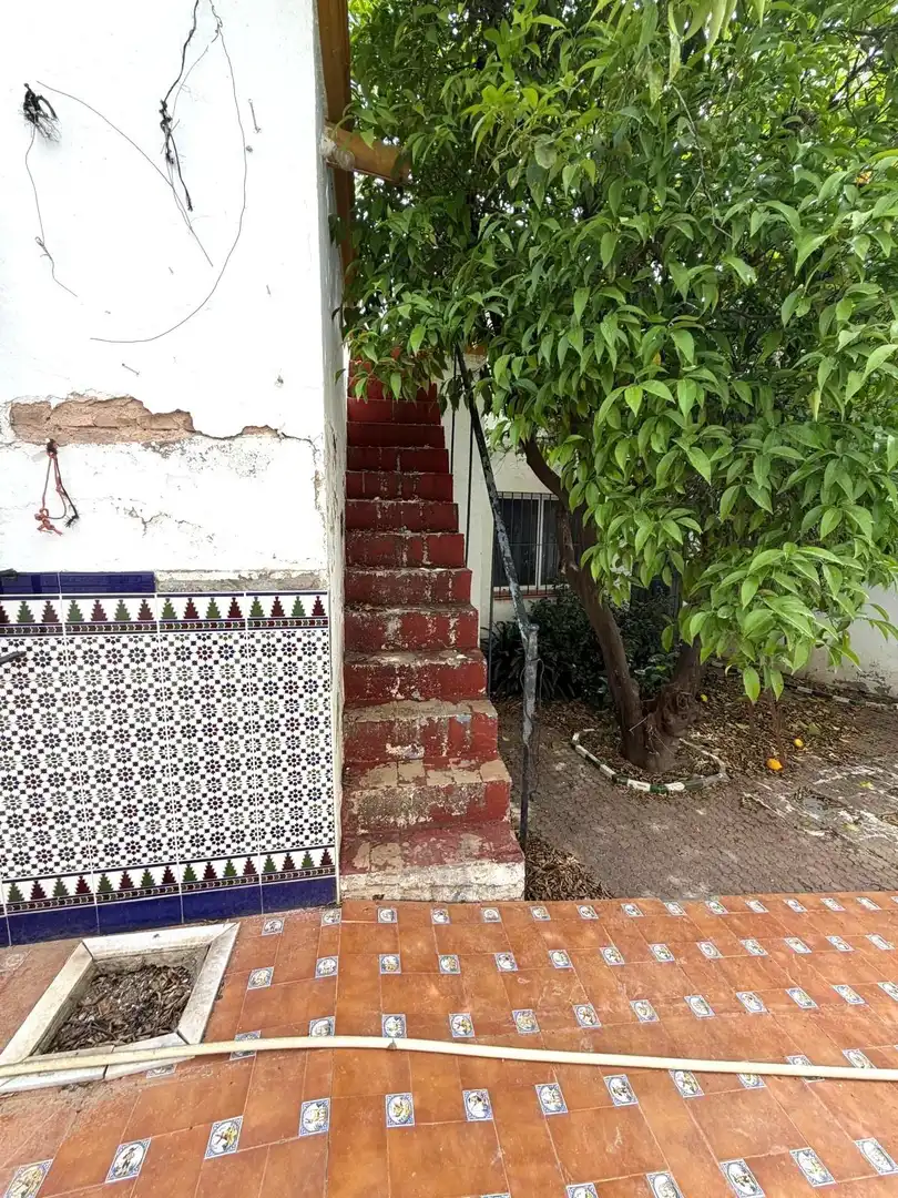 Exterior view of Houses for sale in Alcalá del Río