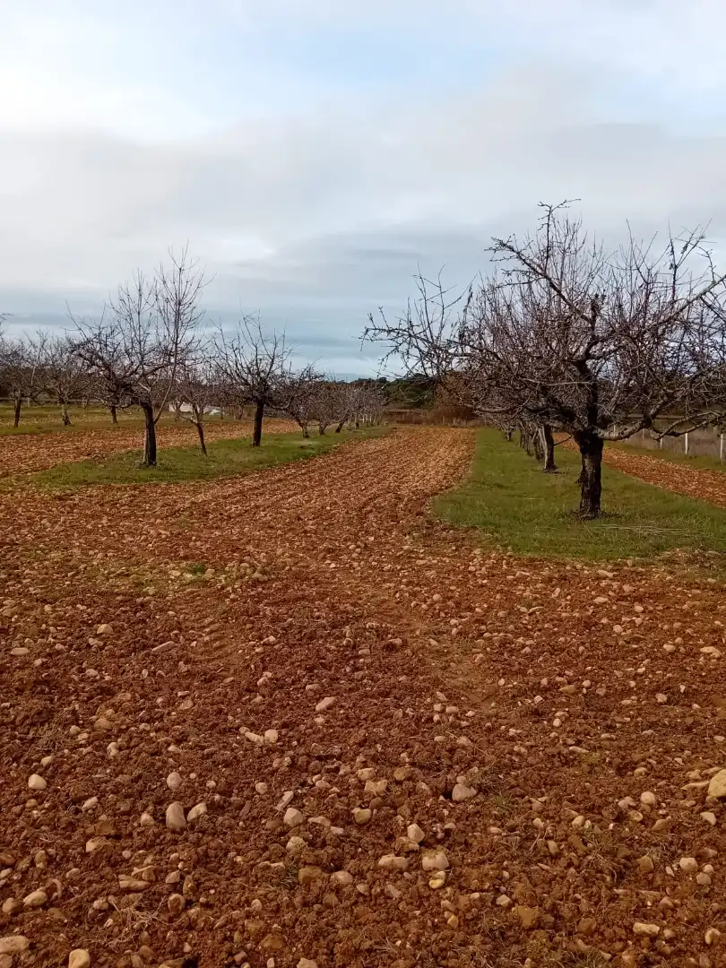 Finca rústica en venta en ZA-P-1509, Villaveza de Valverde