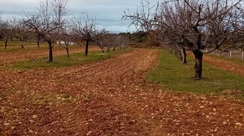 Photo 5 of Country house for sale in Za-p-1509, Villaveza de Valverde, Zamora