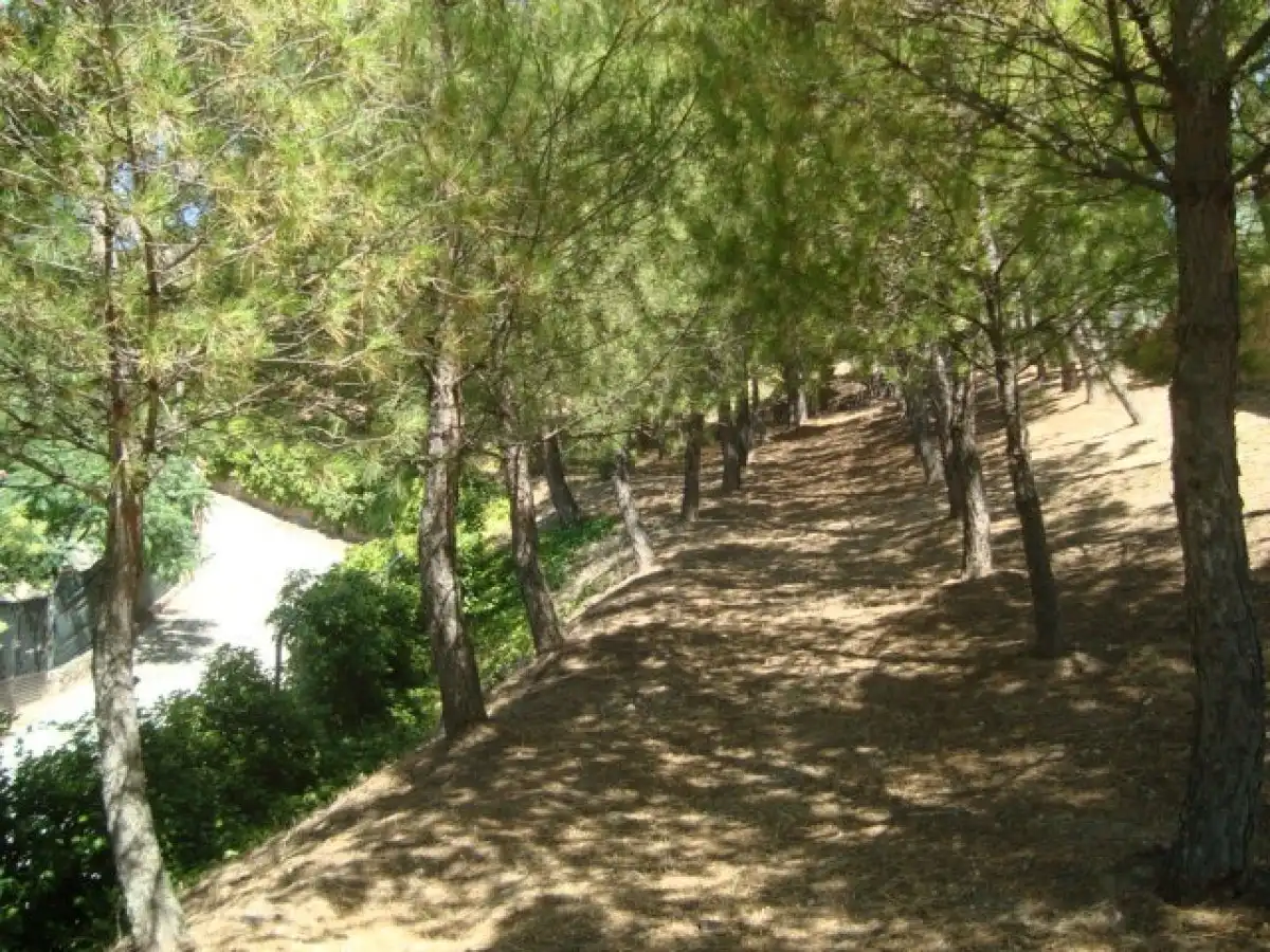 Exterior view of Residential for sale in Loranca de Tajuña