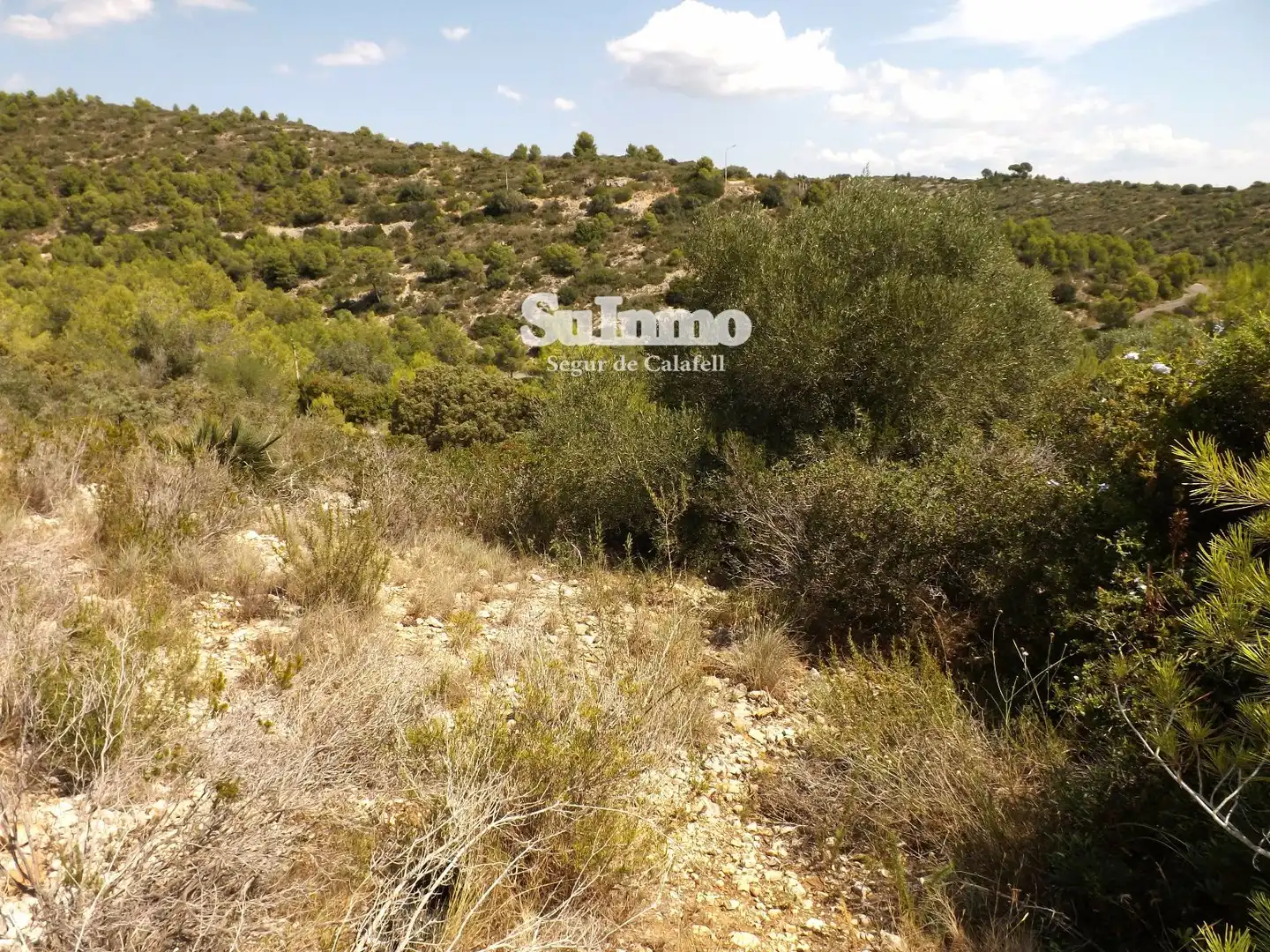 Terreno rustico in vendita a BOI, imagen 5