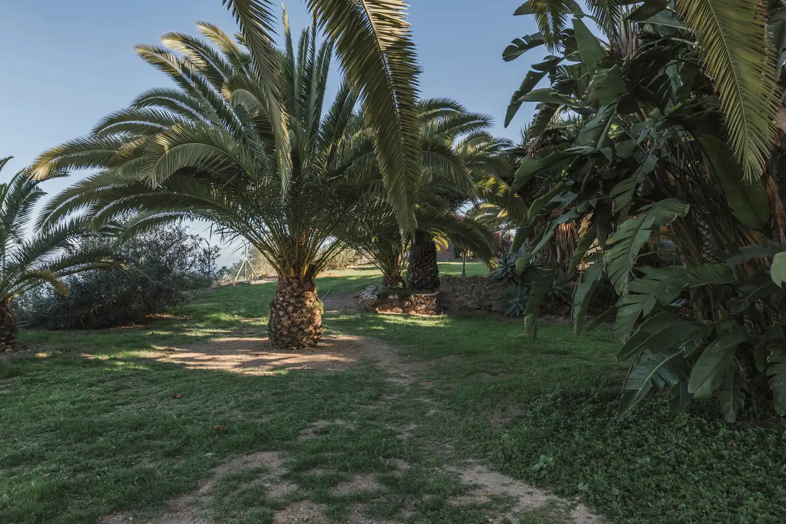 Jardí de Casa o xalet en venda en San Juan de la Rambla amb Jardí privat, Parquet i Terrassa