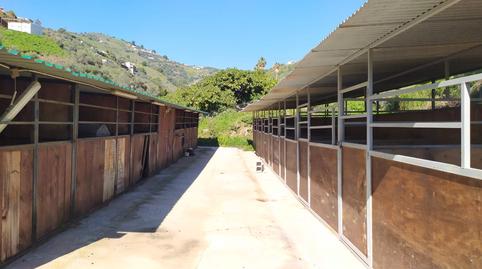 Foto 3 de Finca rústica en venta en Paraje Piedras Blancas, 146, Frigiliana, Málaga