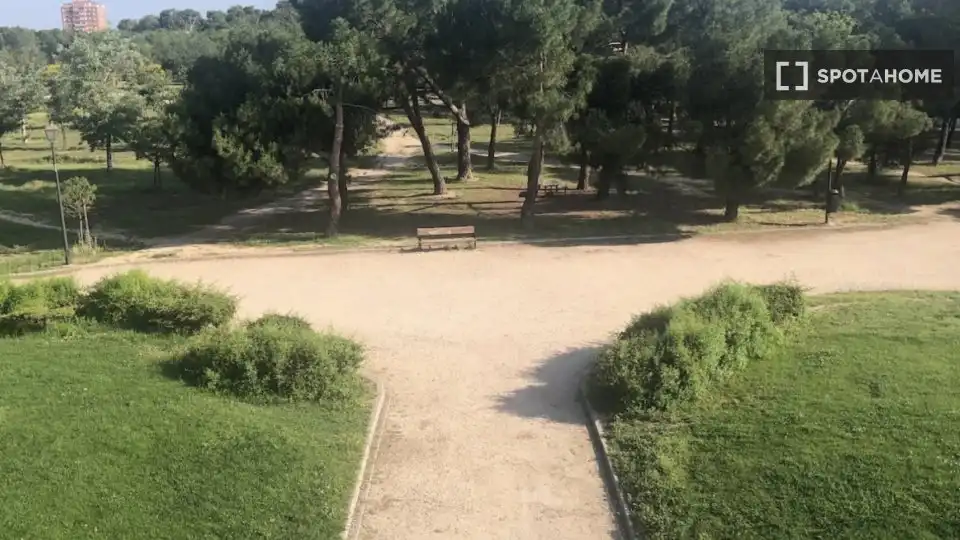 Jardí de Pis de lloguer en Madrid amb Aire condicionat, Calefacció i Moblat