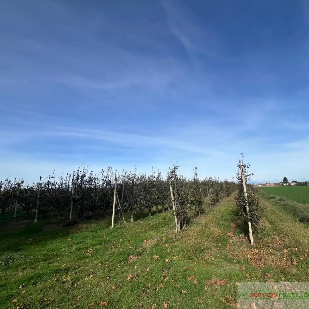 Terrenos y solares en venta en Golmés, imagen 2