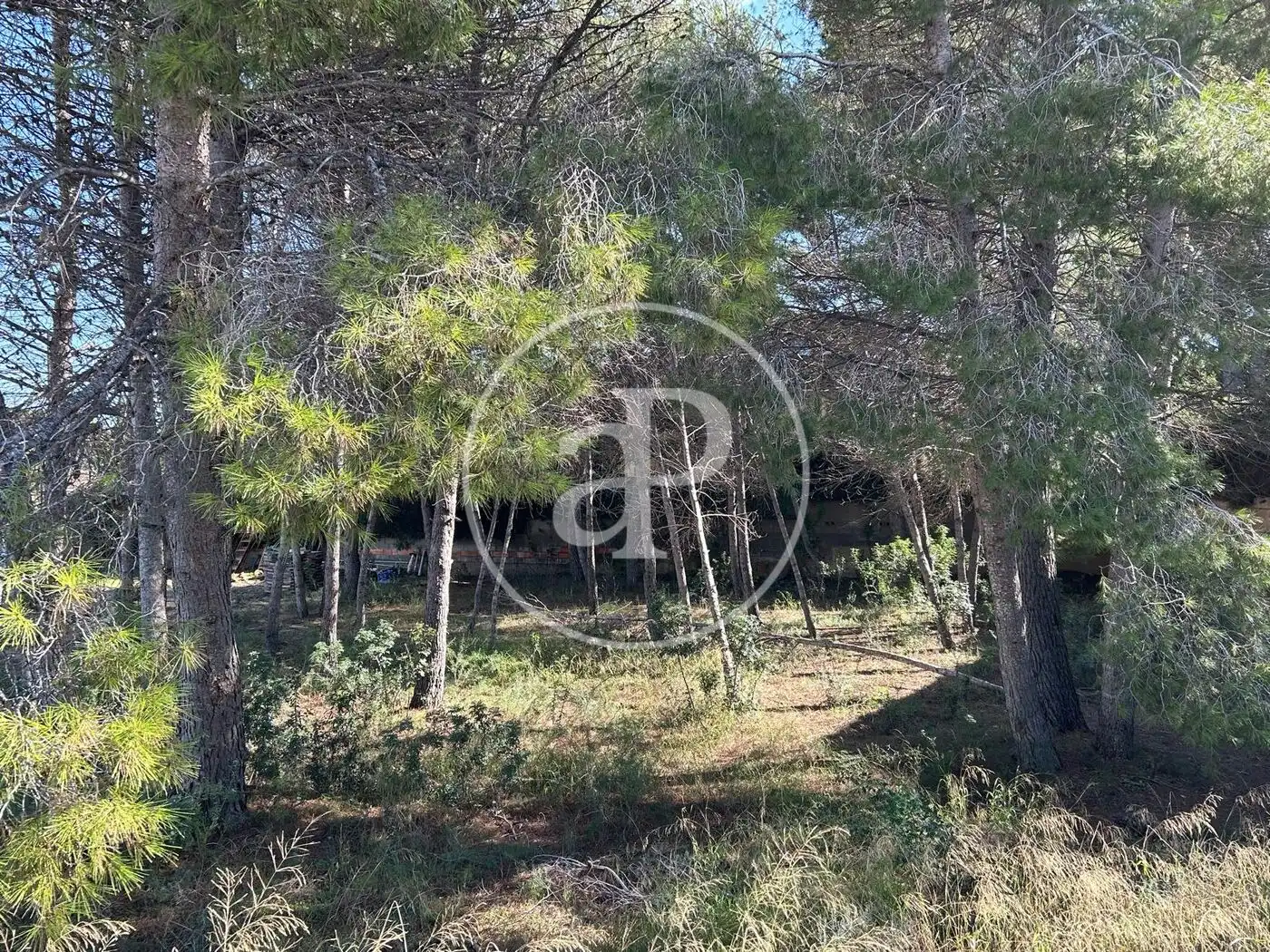 Terreny residencial en venda a La Cañada, imagen 12