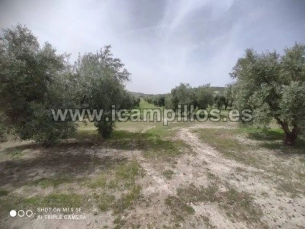 Terrain rustique à vendre à Calle TERMINO DE LUQUE, imagen 5