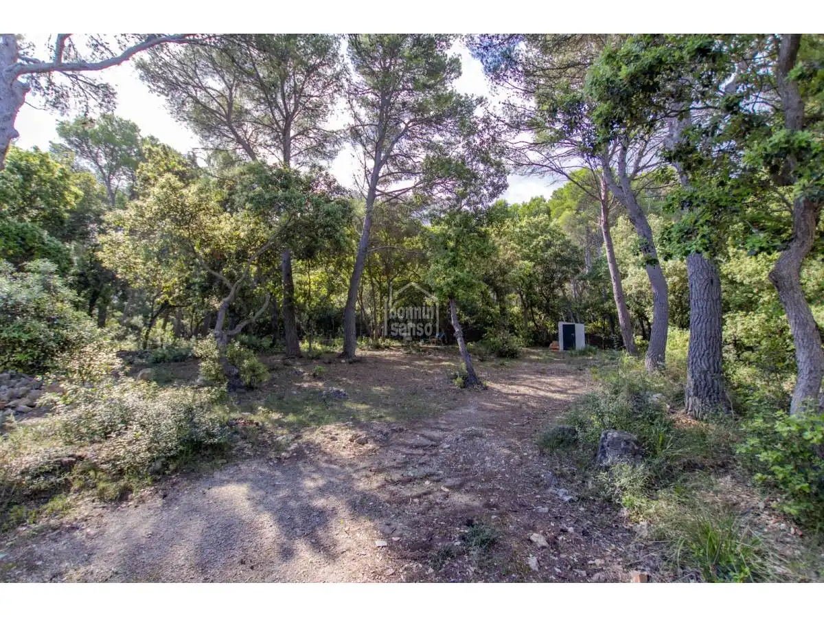 Casa rústica con piscina en venta en Es Mercadal poble, imagen 46