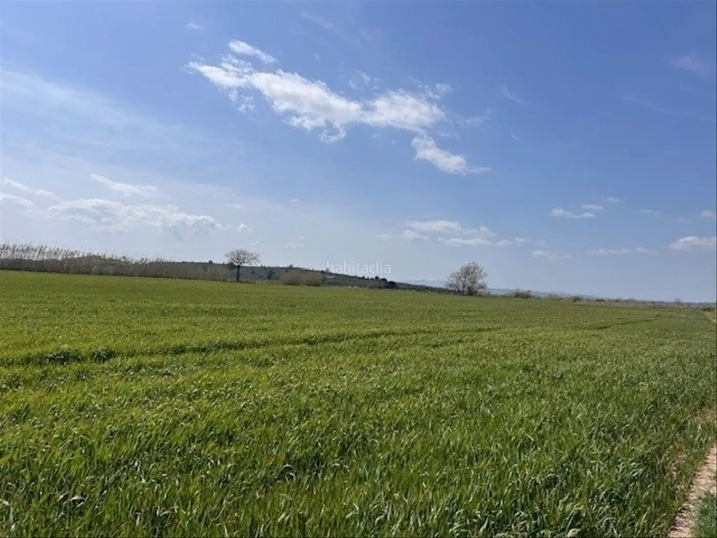 Rural land for sale in Camí Horts de Sant Joan 14, imagen 3