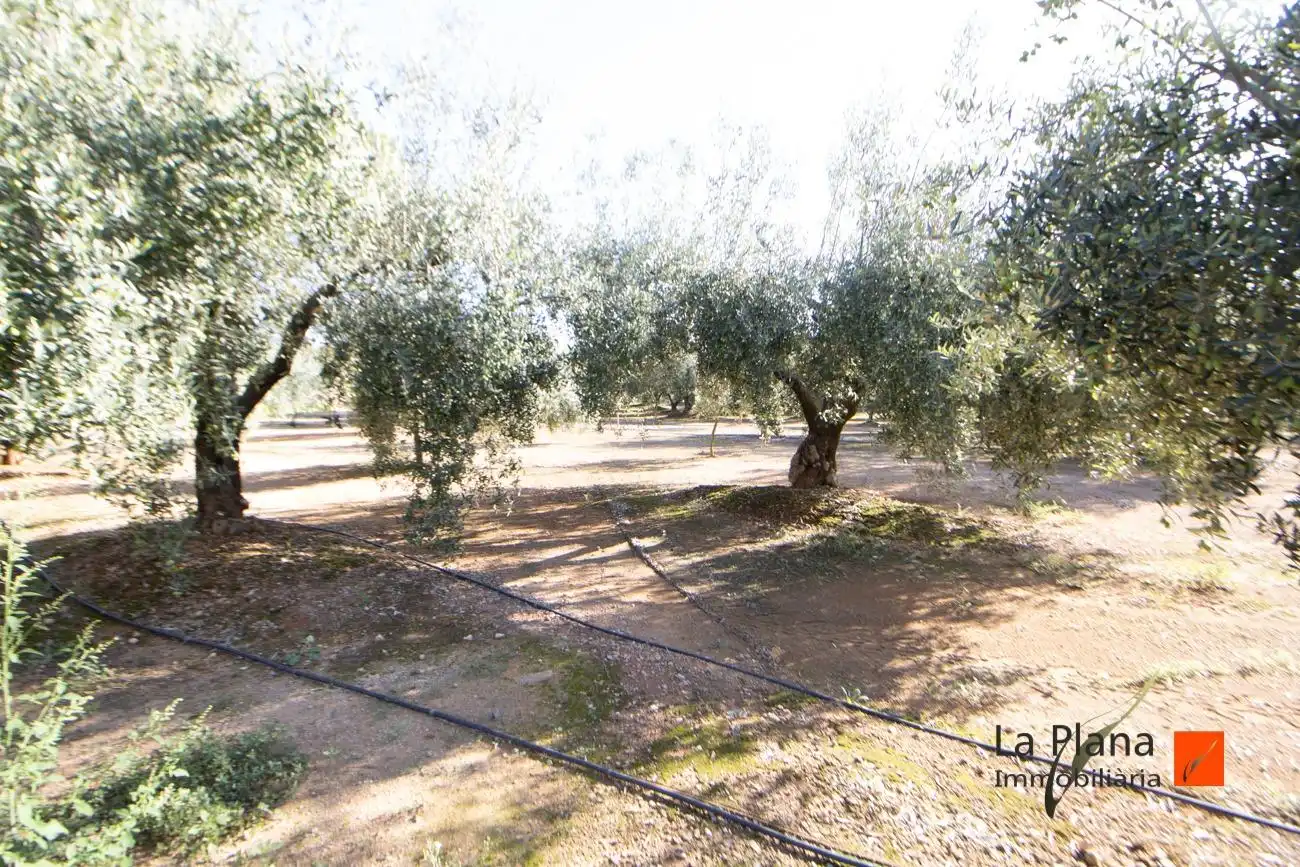Terreno rustico in vendita a Santa Bàrbara, imagen 5