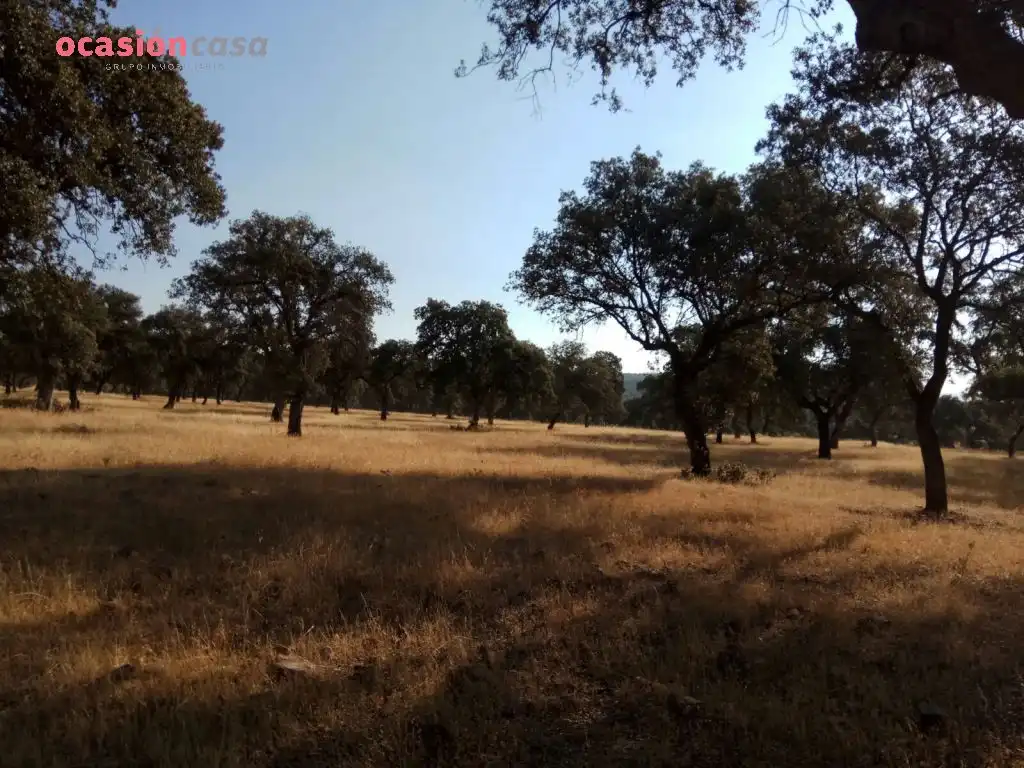 Country homes for sale in Torrecampo