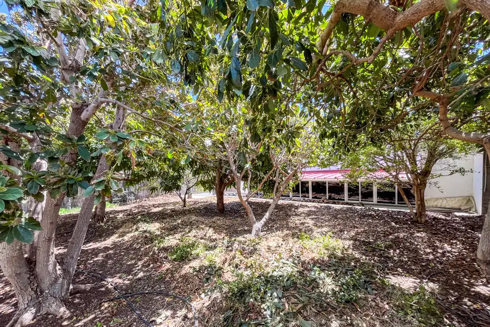 Casa o xalet en venda en San Sebastián de la Gomera amb Terrassa i Moblat