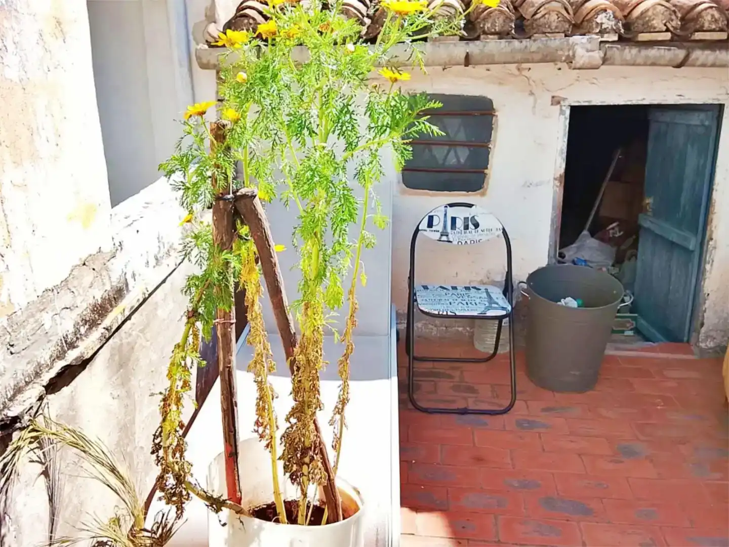 Terrassa de Pis en venda en Pego amb Traster, Moblat i Balcó
