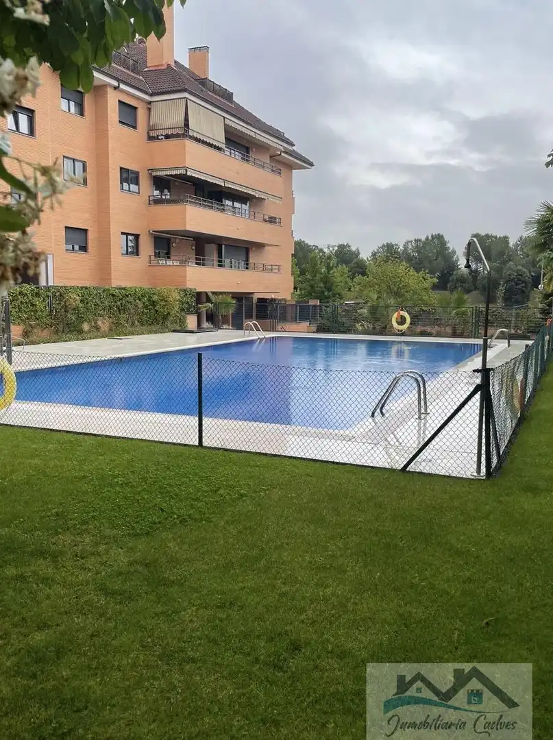 Ground floor for rent in Boadilla del Monte, Madrid