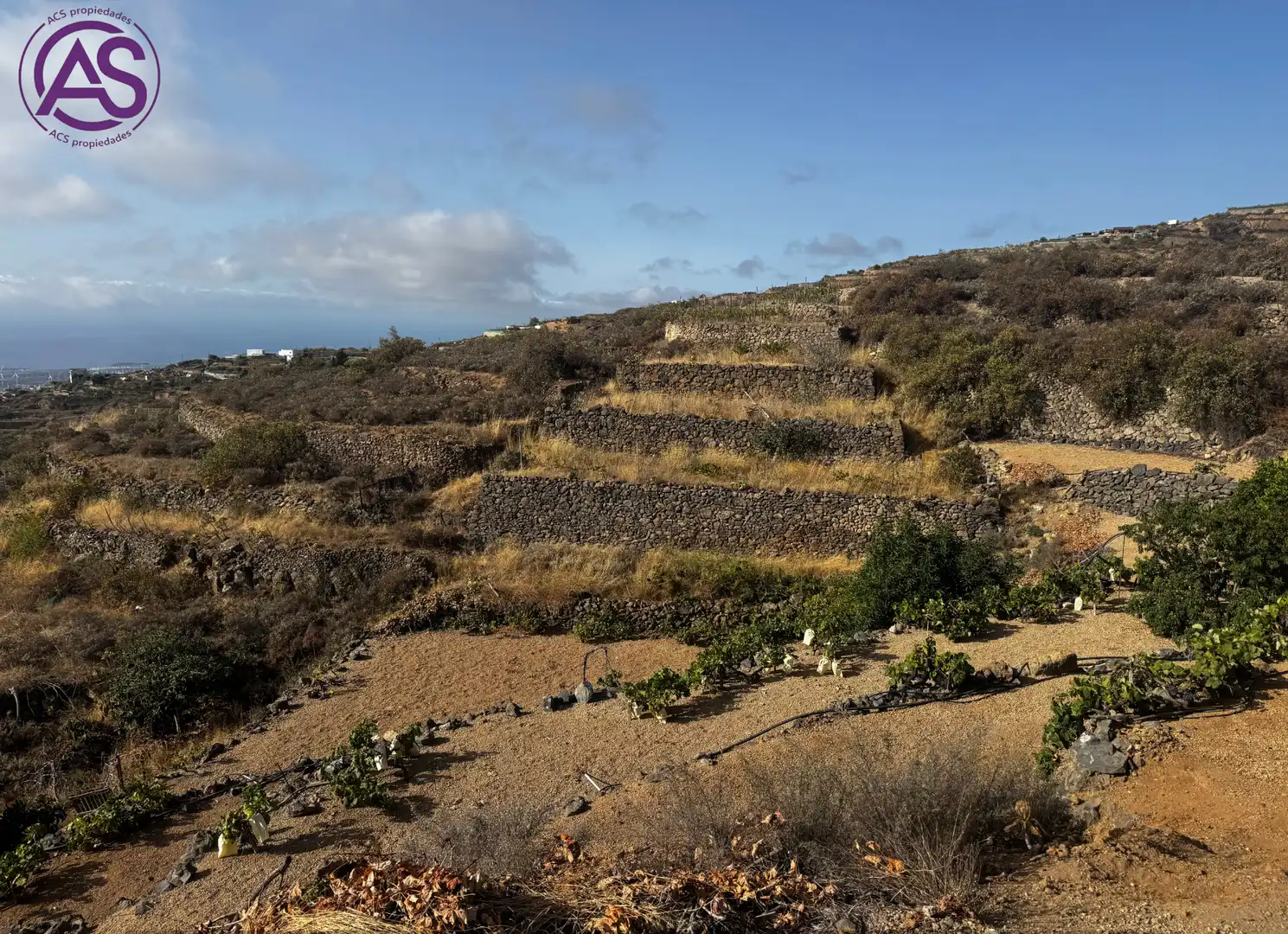 Terreno en venta en Fasnia