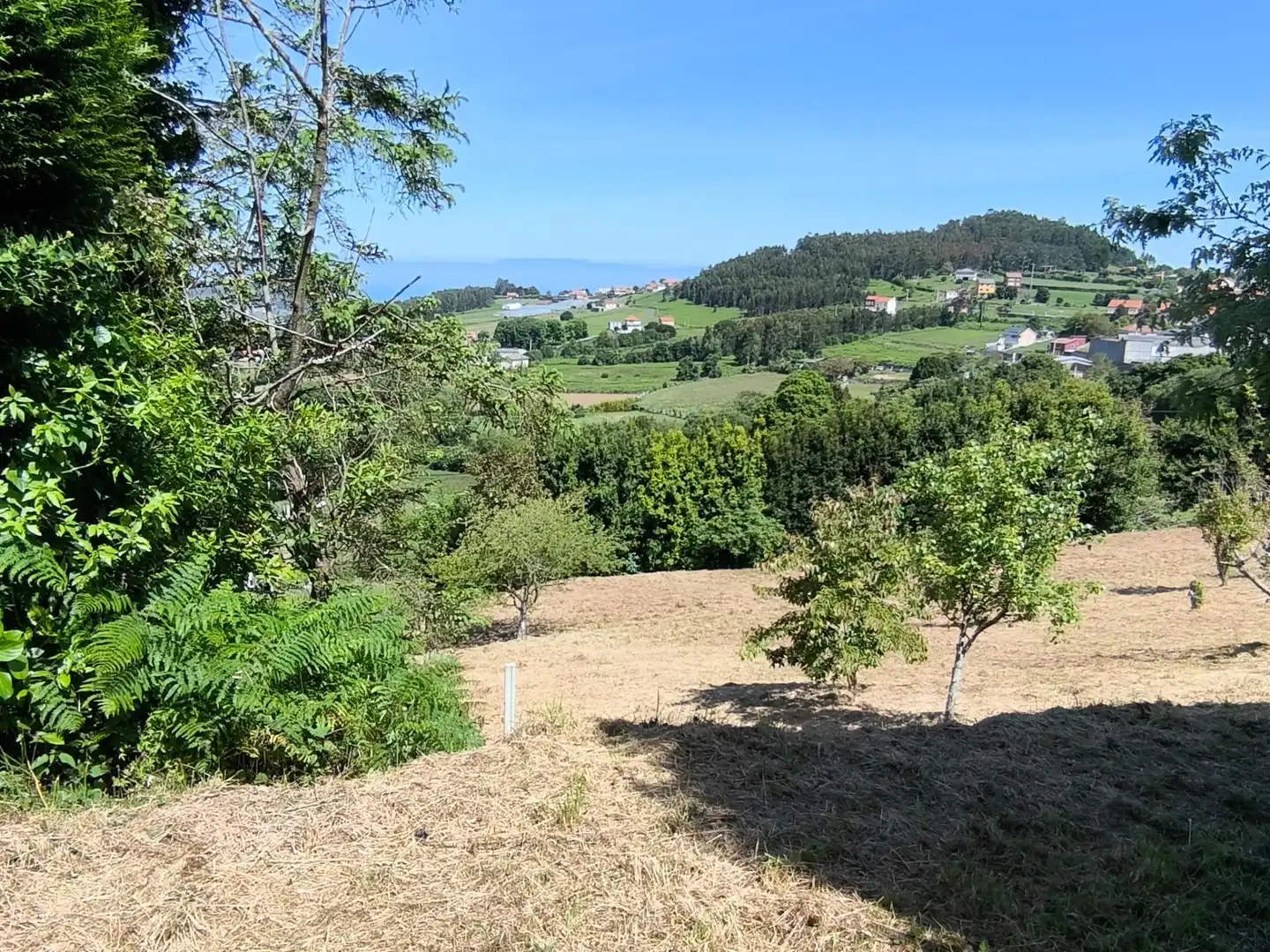 Terrenys i solars en venda a Lugar VILARNOVO, imagen 6