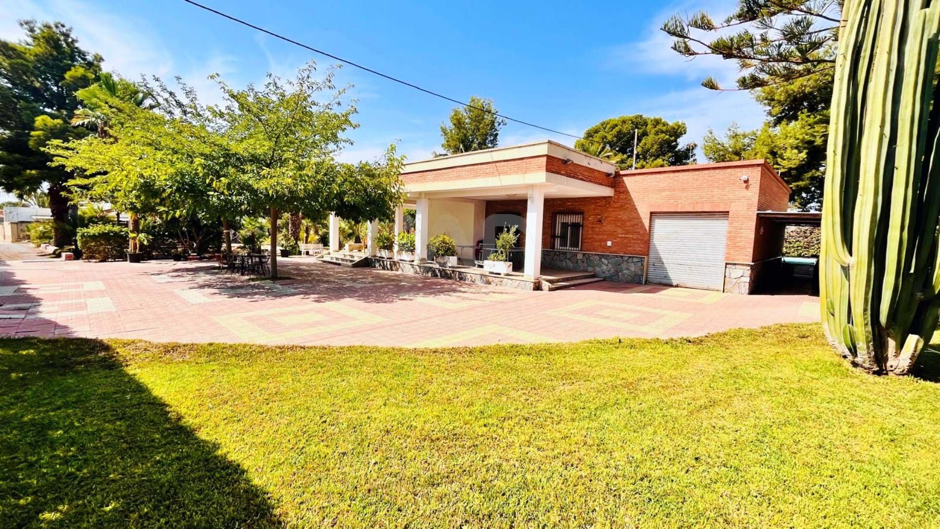 Jardín de Casa o chalet en venta en Elche / Elx con Terraza y Piscina