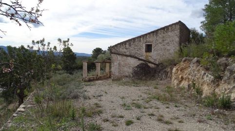 Finca de 94.380 m² en venta en la población de Xerta, plantada de olivos, algarrobos, almendros y zona de pinar, la propiedad está, imatge 3
