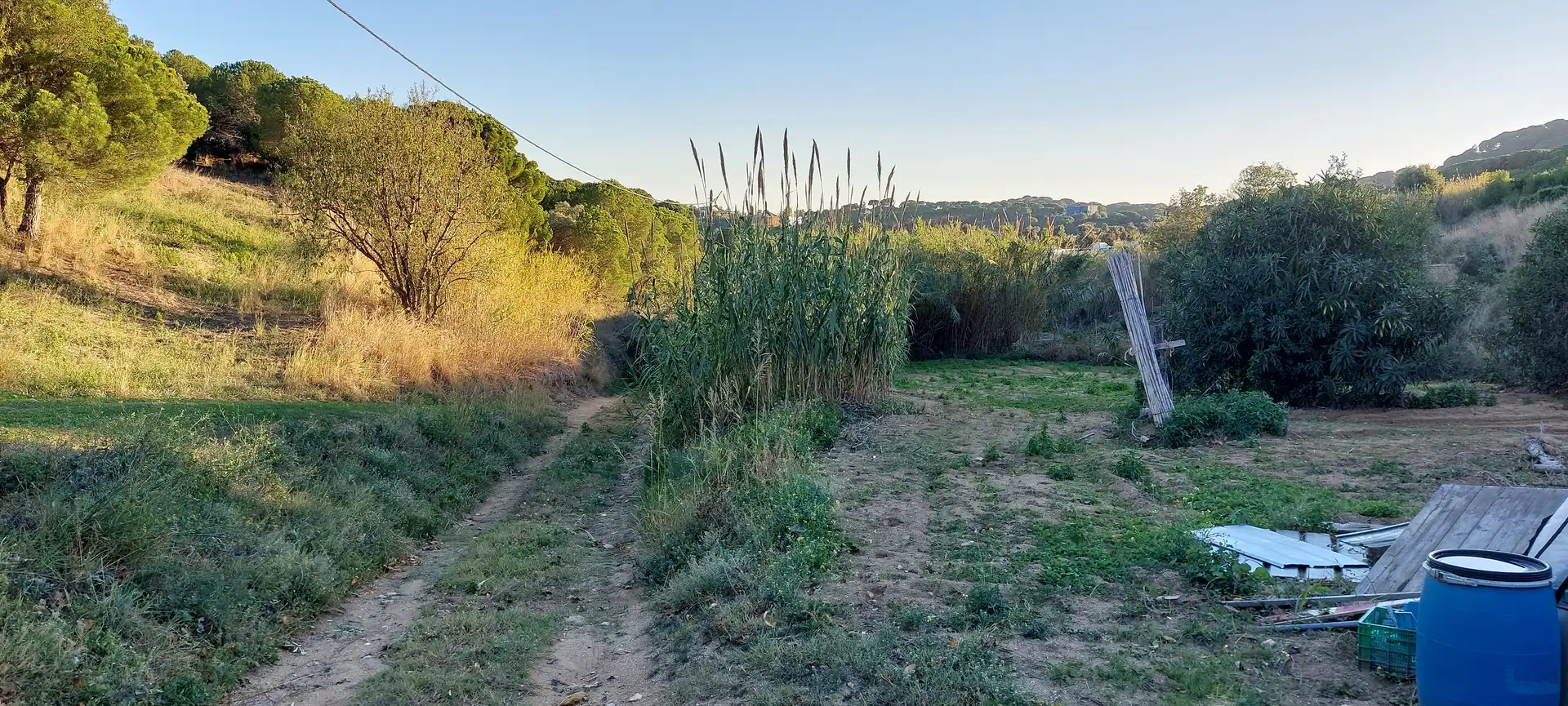 Rural land for sale in Calella, imagen 8