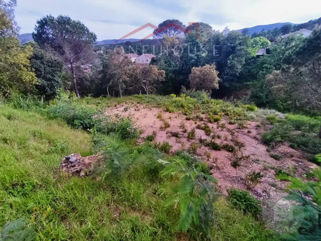 Terreno residencial en venta en Niàgara Parc - Àgora Parc, imagen 9
