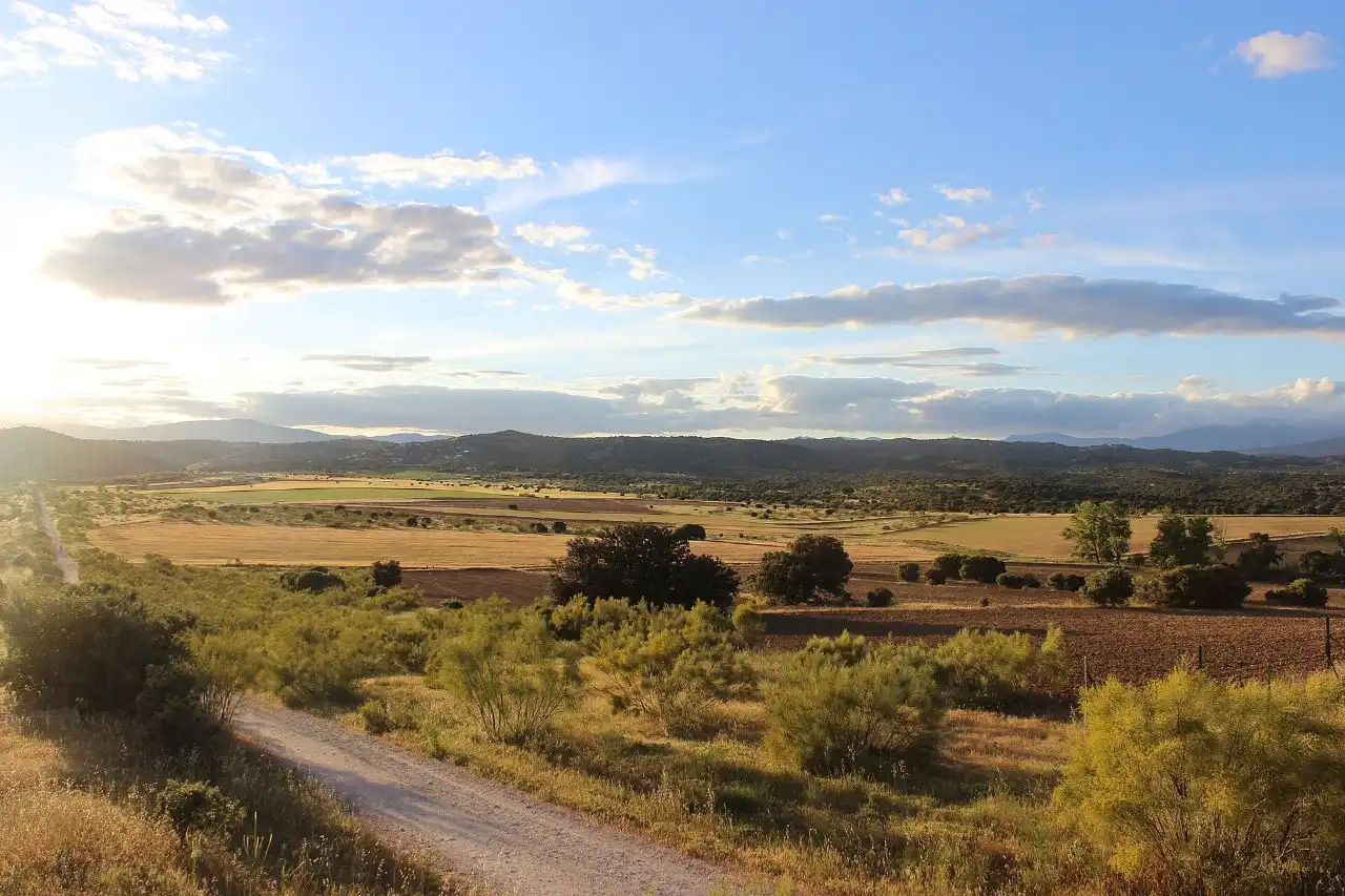 Vista exterior de Casa o xalet en venda en Villanueva del Pardillo amb Calefacció, Jardí privat i Parquet