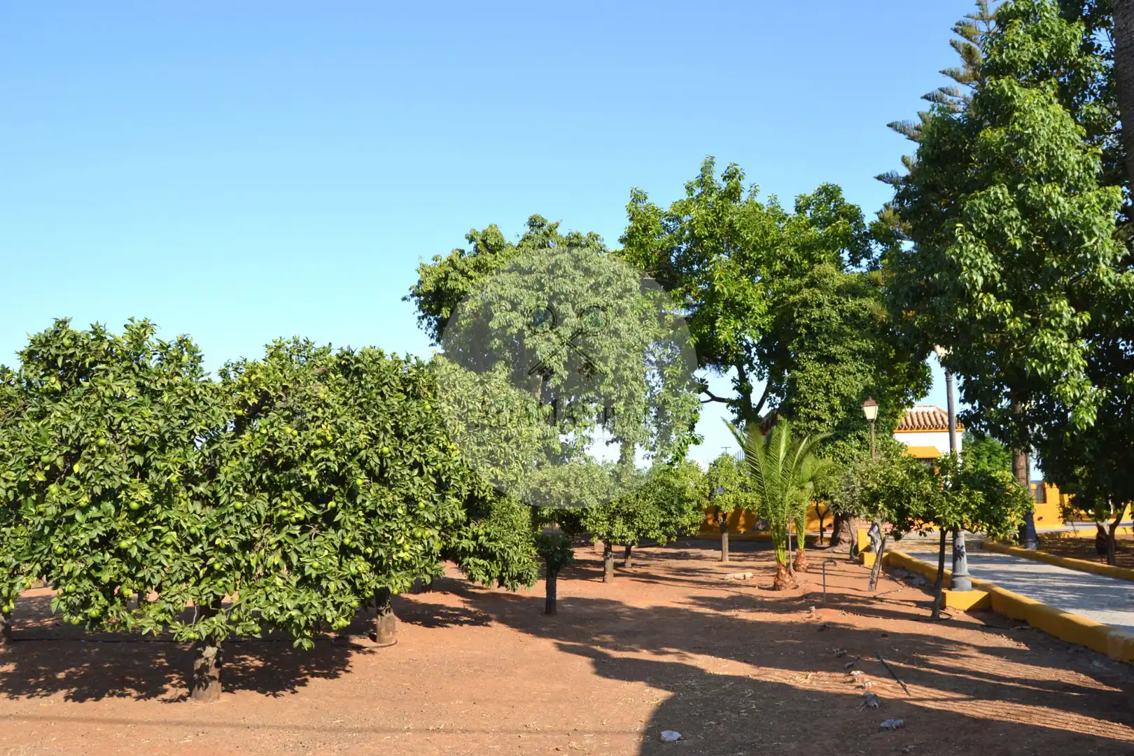 Jardí de Casa o xalet en venda en Sanlúcar la Mayor amb Jardí privat, Terrassa i Piscina
