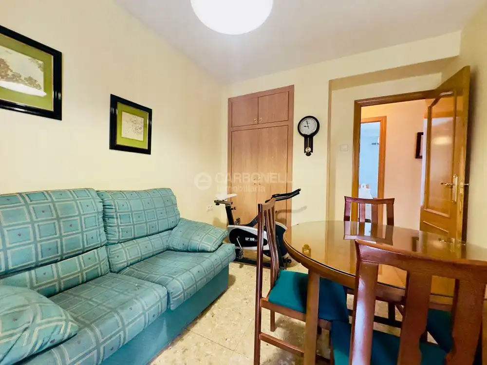 Flat with lift for sale in Santa Rosa, imagen 23