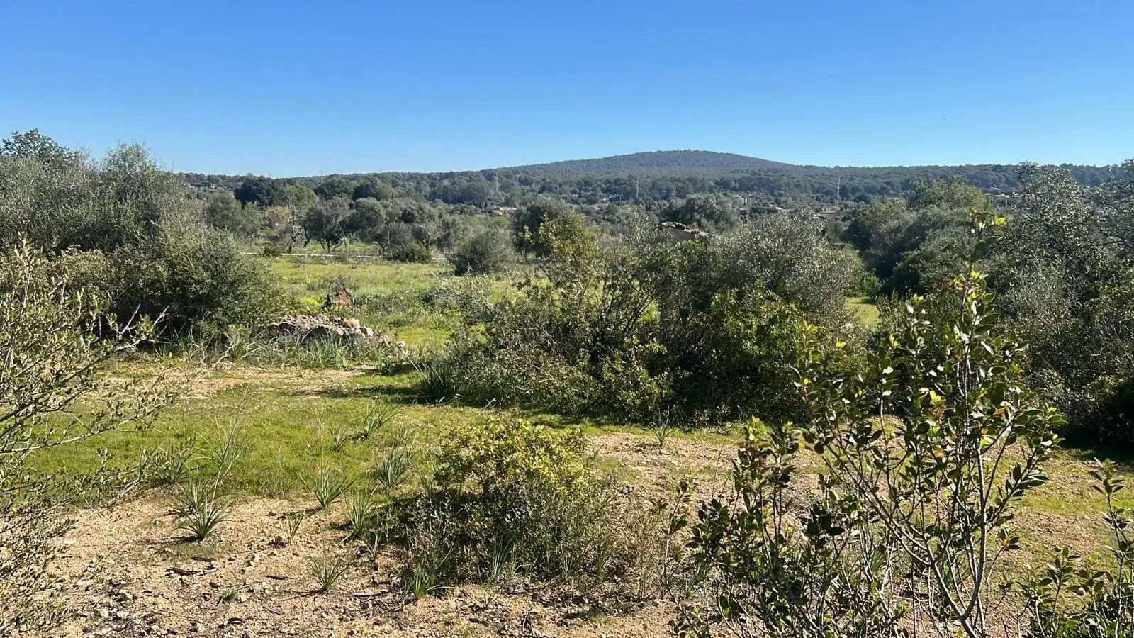 Grundstücke zum Verkauf in Marratxí, Illes Balears