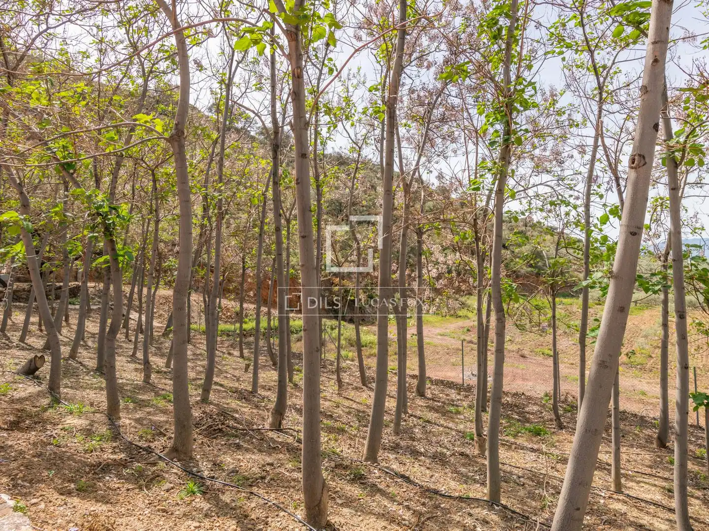Finca rústica en venda en Málaga amb Jardí privat, Terrassa i Traster