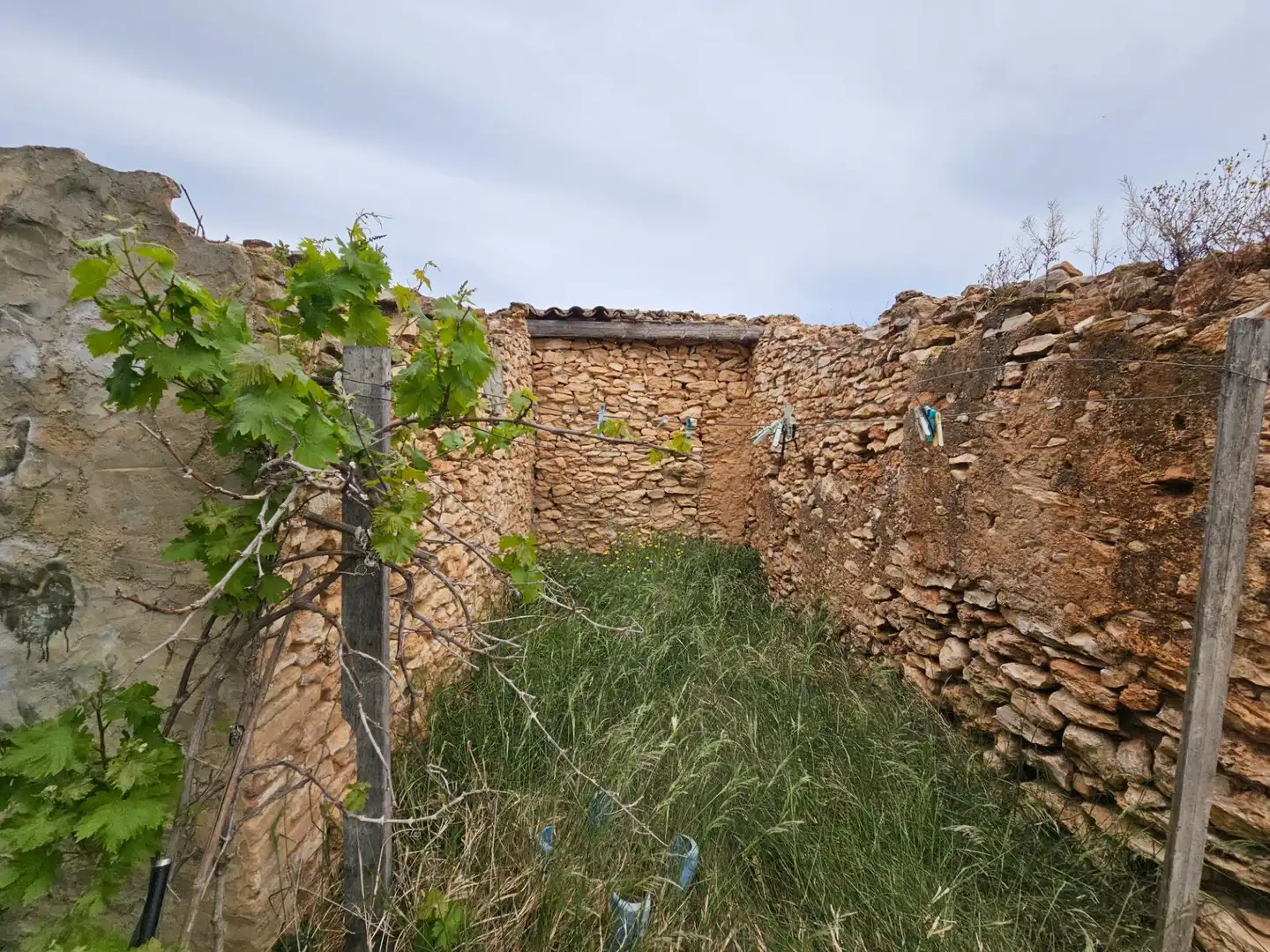 Landhaus zum Verkauf in Eucaliptus- Poble Nou del Delta, imagen 18