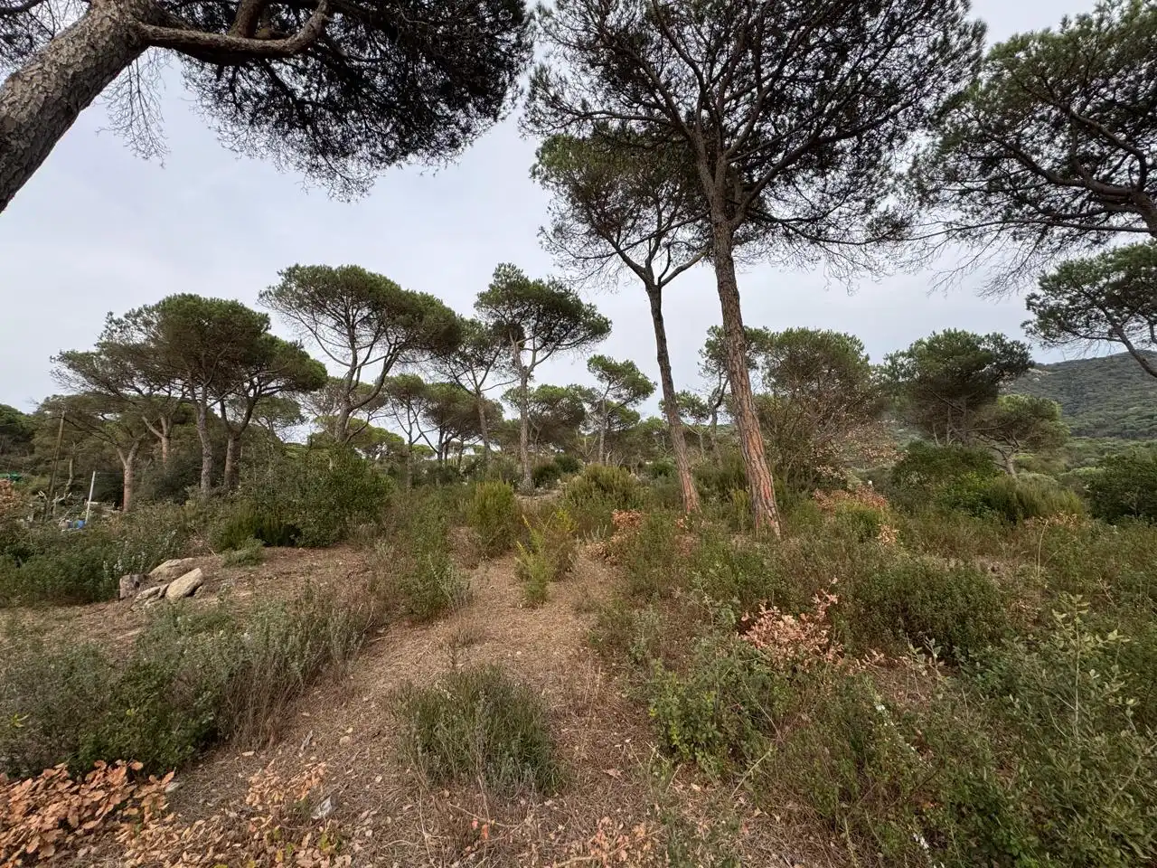 Terrenos y solares en venta en Carrer Vallès, imagen 2