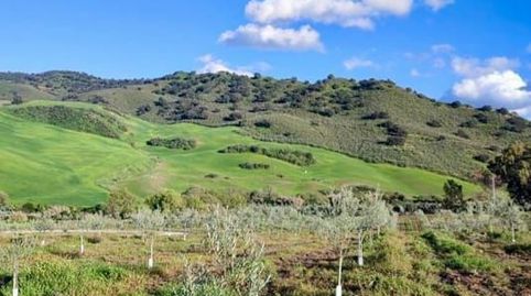 Finca Rúst. en venta en Olvera., imatge 3