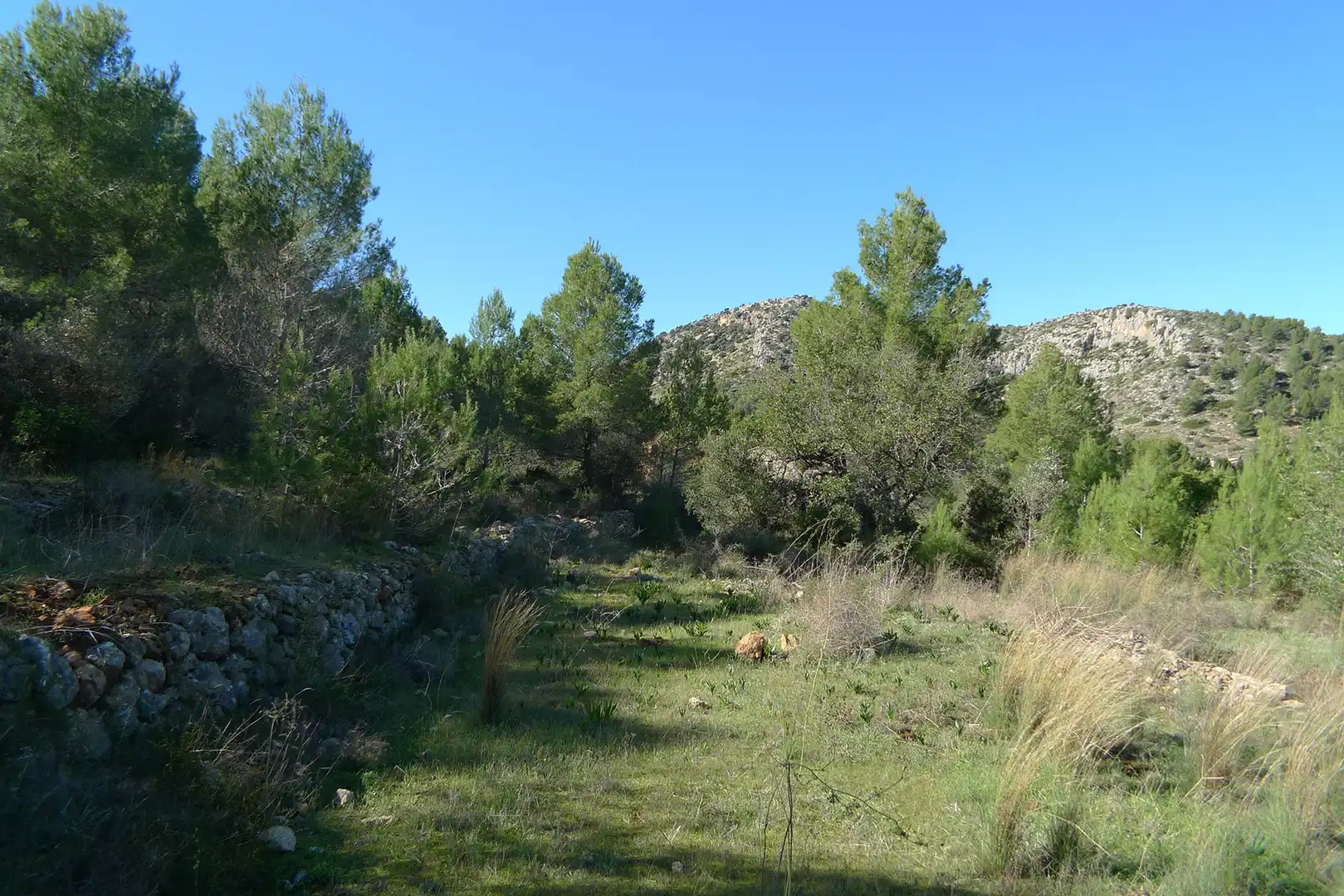 Terreny residencial en venda a Xaló, imagen 3