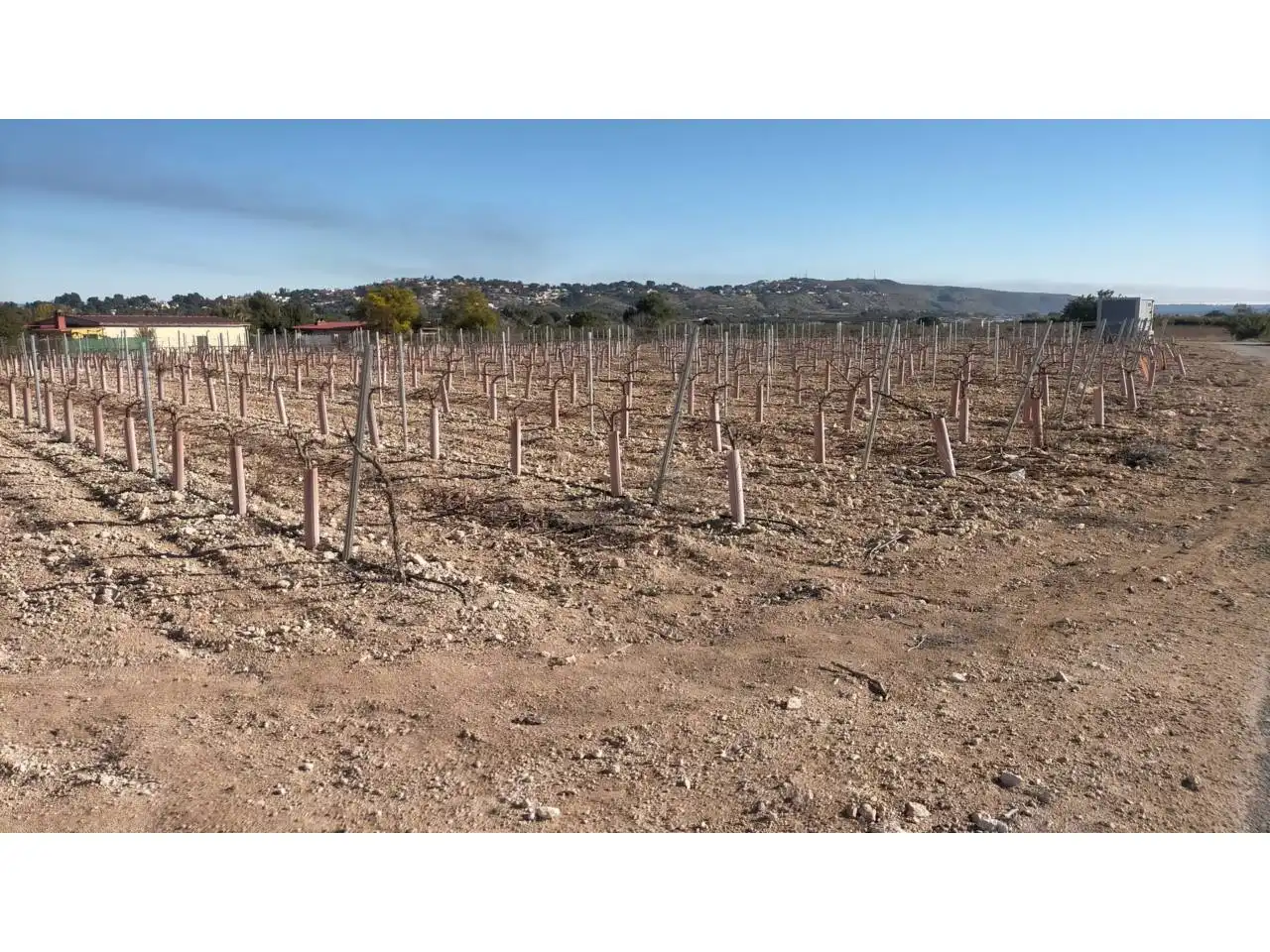 Rural land for sale in Poligono 13, imagen 3