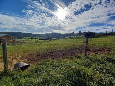 Terreno residencial en venta en Pillarno