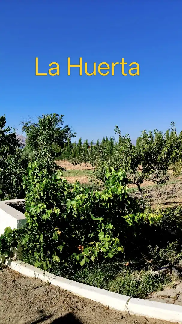 Maison rustique à louer à A-4075 33, imagen 8