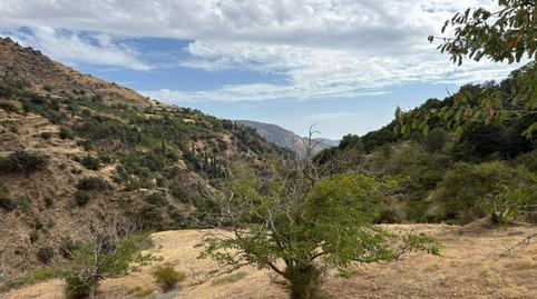 Foto 4 de Finca rústica en venda a Carretera Carril, Capileira, Granada