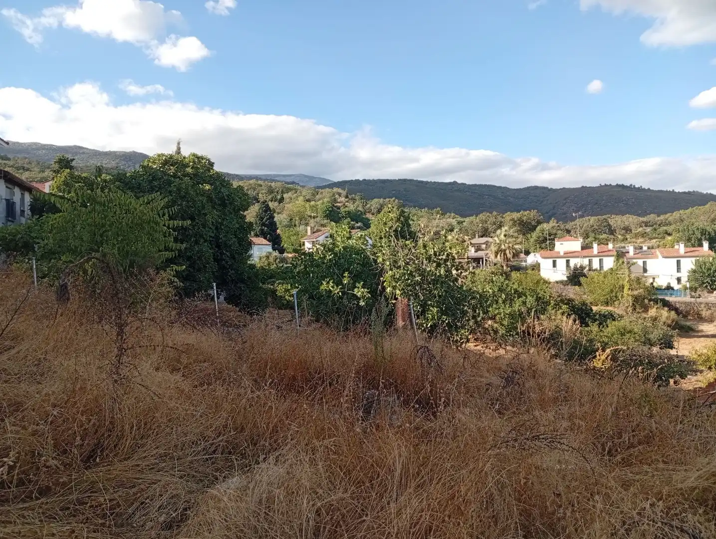 Terreni e lotti in vendita a Villanueva de la Vera, imagen 2