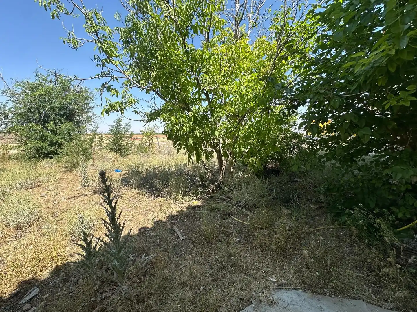 Rural land for sale in Polígono POLIGONO, imagen 50