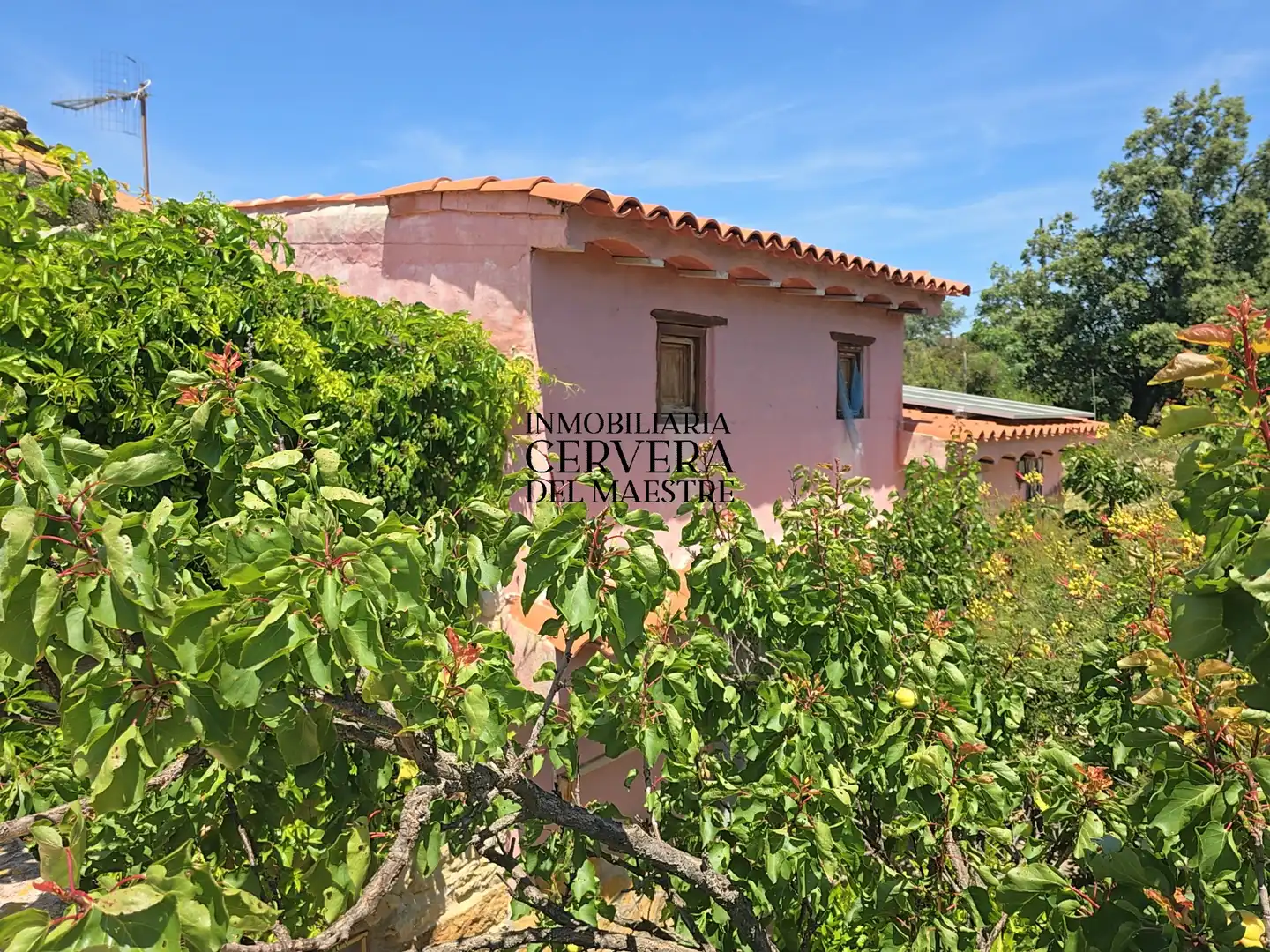 Exterior view of Houses for sale in La Torre d'en Besora
