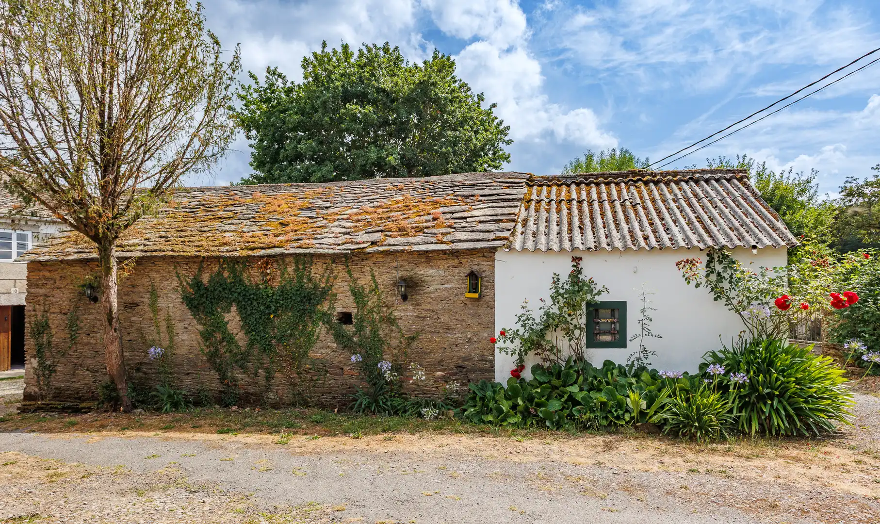 Vista exterior de Finca rústica en venta en Begonte
