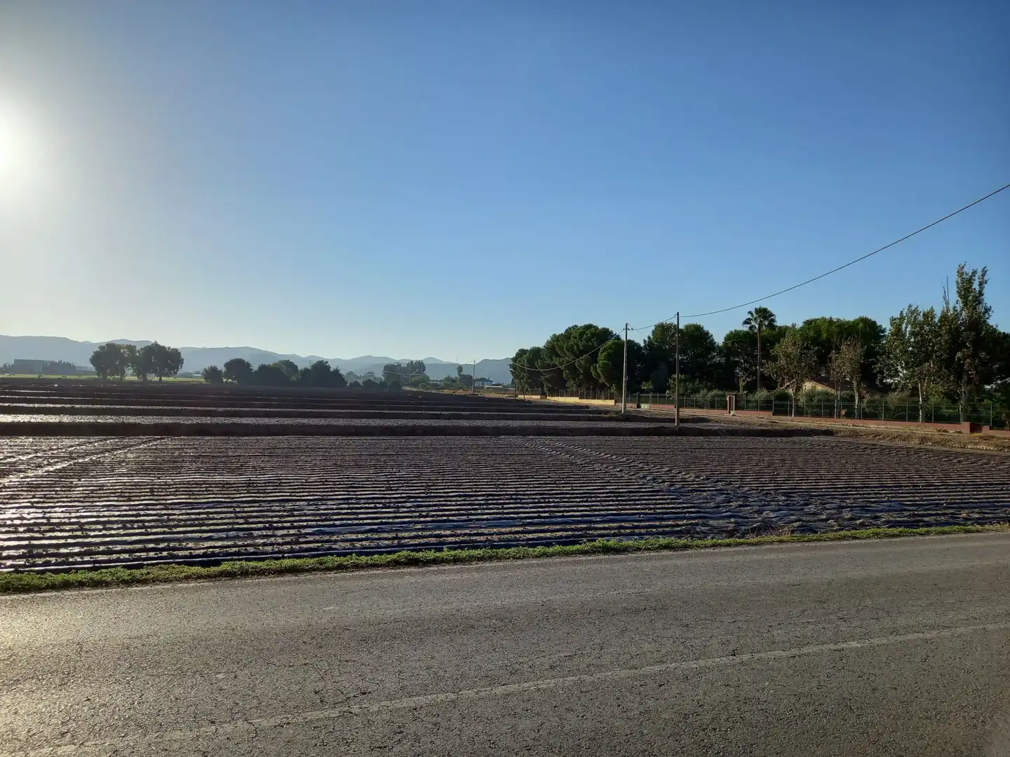 Lands and plots for sale in Pedanías Sur, imagen 4
