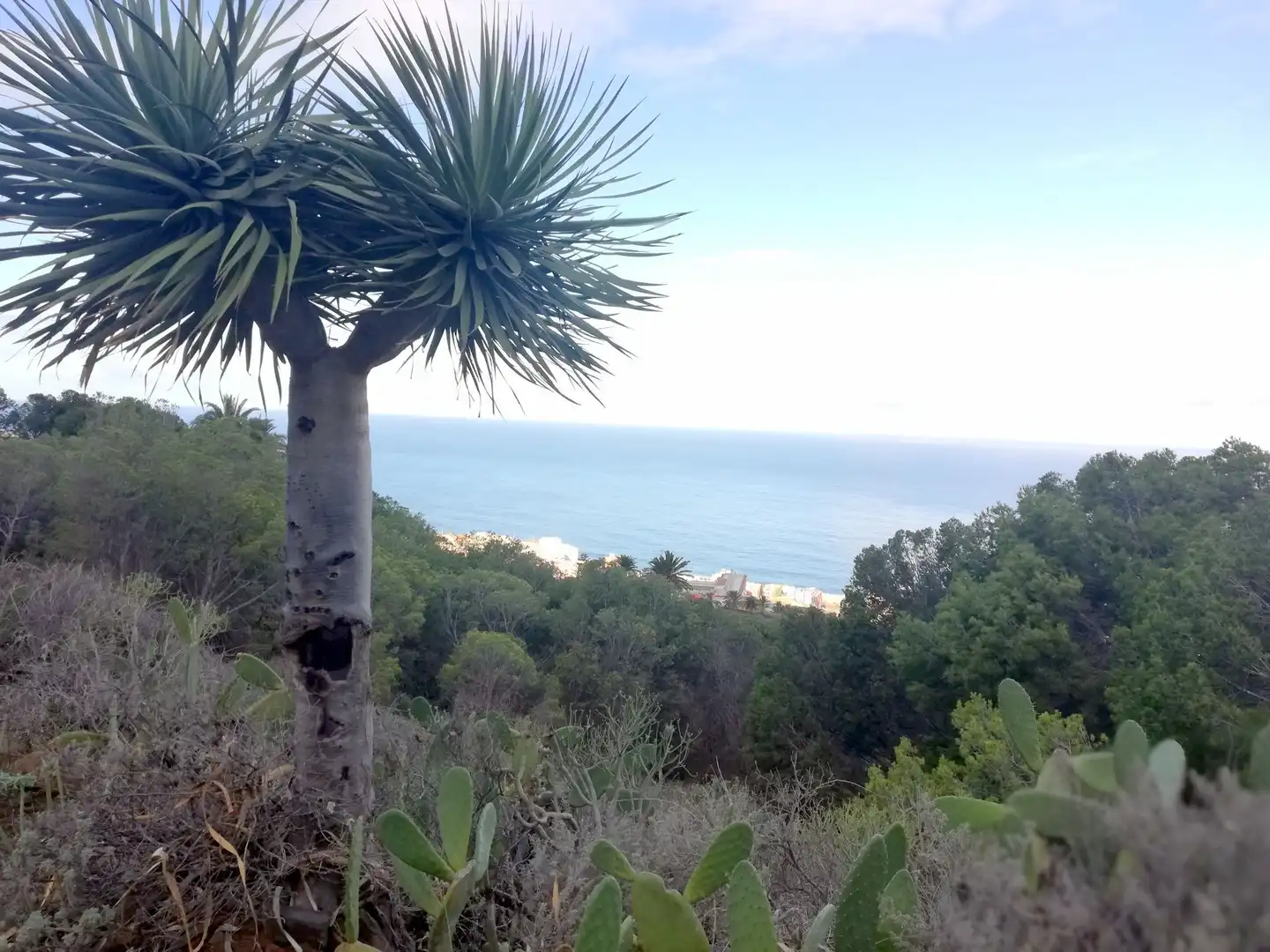 Terreno en venta en Isogue, polígono 7, parcela 39, 1, Punta del Hidalgo